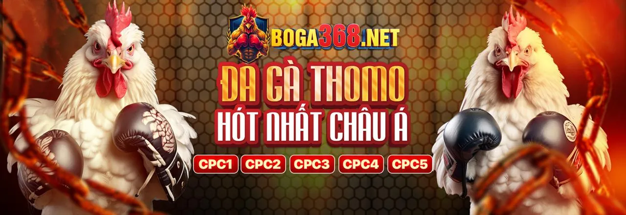 Giao diện quản lý cài đặt cookie trên trình duyệt